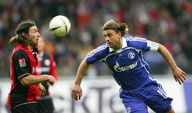 或将放弃9 或将放弃9